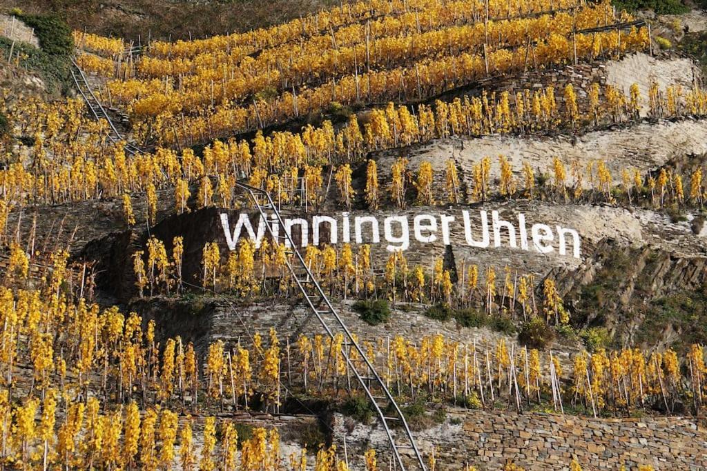 Ferienwohnung Sabine Jacoby Winningen Exteriör bild